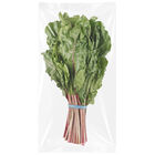 Acelga roja manojo 500g