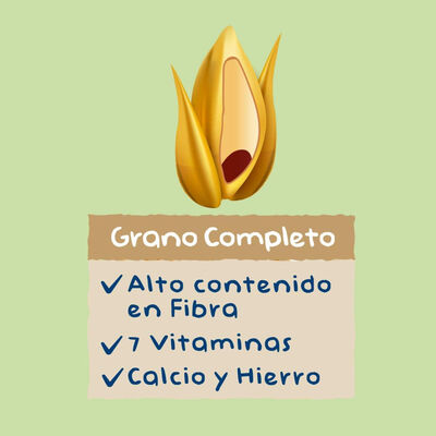 Papilla 8 cerales y galleta Hero Solo 340g