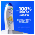 Champú  H&S 330 ml Citrus Fresh 2en1  Todo En Uno