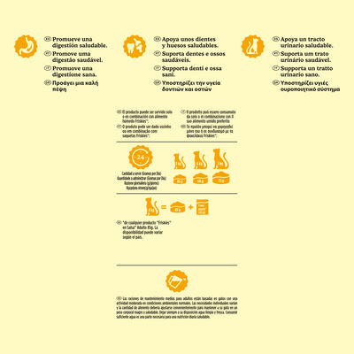 Alimento seco para gato adutlto Friskies 4kg Salm&oacute;n y verduras