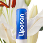 Protector labial Liposan 24h hidratación intensa