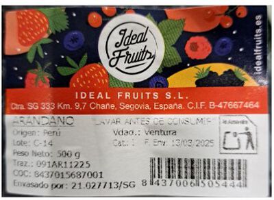 Ar&aacute;ndano bandeja 500g