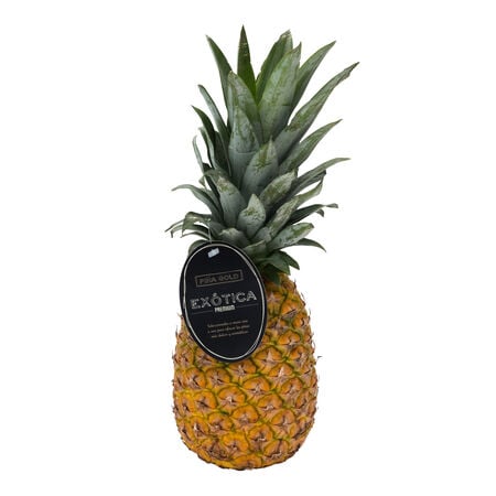 Piña pieza 1,7kg