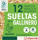 Huevos de gallinas sueltas en el gallinero Alipende 12u "clase m"