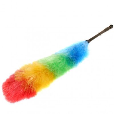 Plumero antiest&aacute;tico rubic