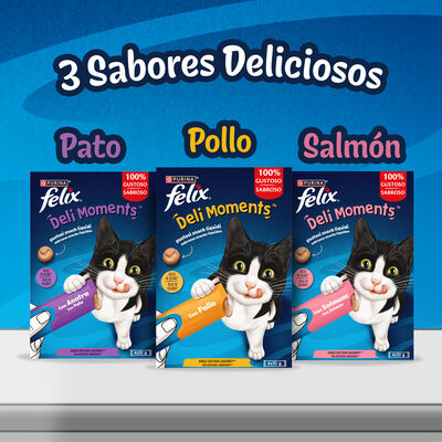 Alimento para gato PURINA&reg; FELIX&reg; Deli Moments Con Salm&oacute;n 4x10g