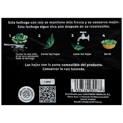 Lechuga batavia Fresquia 1ud
