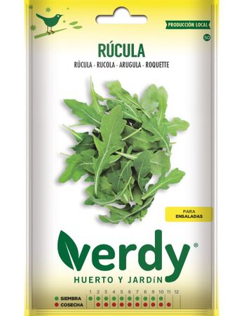 semilla rucula verdy