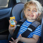 Pa&ntilde;uelos con dise&ntilde;o Paw Patrol Colhogar 12 unidades