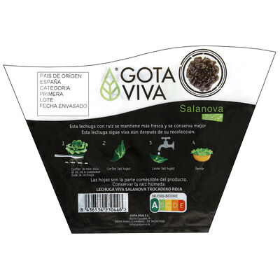 Lechuga viva trocadero roja 1ud