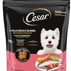 Alimento para perro con pollo y salm&oacute;n Cesar 1,4k