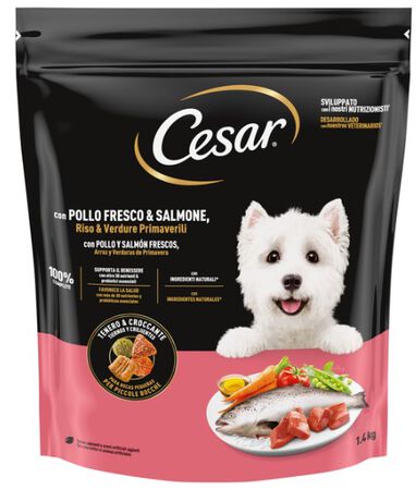 Alimento para perro con pollo y salmón Cesar 1,4k