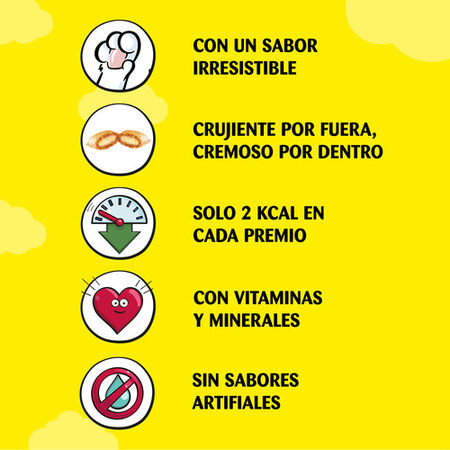 Snack gato Catisfactions pollo 60g