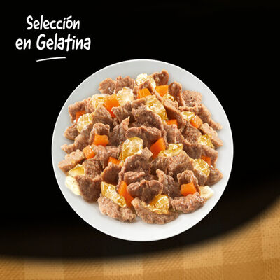 Comida h&uacute;meda perro C&eacute;sar pollo buey verdura pack 4