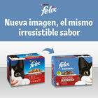 Comida h&uacute;meda gato F&eacute;lix gelatina pescado pack 4