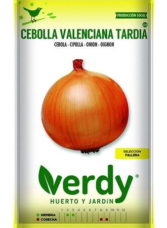 Semilla Verdy cebolla babosa
