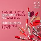 Pintalabios l&iacute;quido Rimmel Lasting Mega 16h 210