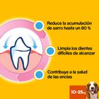 Snack higiene dental perro Dentastix mediano 28 unidades