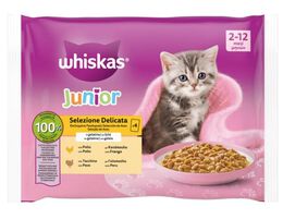 Alimento para gato pack de 4 junior aves Whiskas