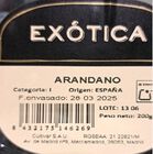 Arándano bandeja 200g