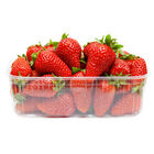 Fres&oacute;n bandeja 500g