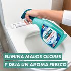 Limpiador desinfectante Sanytol 750ml baño