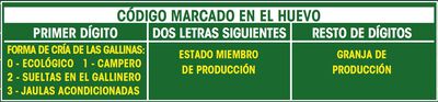 Huevos de gallinas criadas con maíz sueltas en el gallinero Alipende 12u "clase m-l"