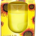 Vela insecticida perfumada Lumar citronella