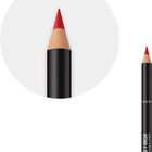 Perfilador de labio Loose Finish Rimmel 505