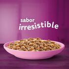 Comida para gatos pure delight Whiskas 4x85g