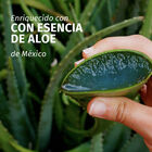 Acondicionador fortificante aloe Herbal Essences 250ml