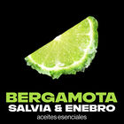 Desodorante Spray Axe 150ml Agua De Bergamota