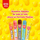 BEBIDA PARA CONGELAR FLASHES FRIGO 10U