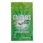 Chicles hierbabuena s/gluten s/az&uacute;car Alipende 45g