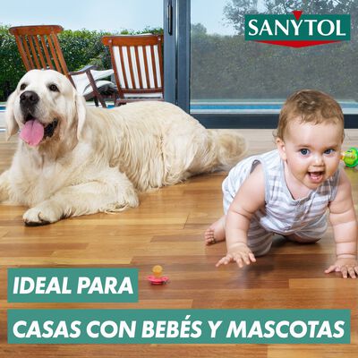 Limpiahogar Sanytol 1,2l