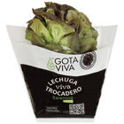 Lechuga viva trocadero roja 1ud