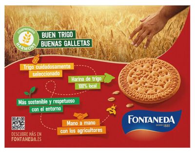 Galleta La Buena Mar&iacute;a Fontaneda 707g