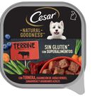 Cesar Natural Goodness 100g