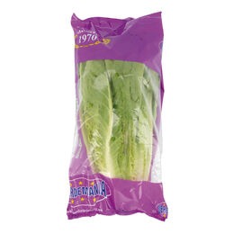Lechuga Romana 1 unidad