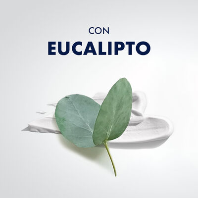 Espuma de afeitar Gillette 200+50ml series refrescante