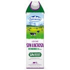 Leche sin lactosa 0,0% MG Asturiana 1l desnatada