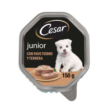 Comida húmeda perro César junior pavo ternera 150g