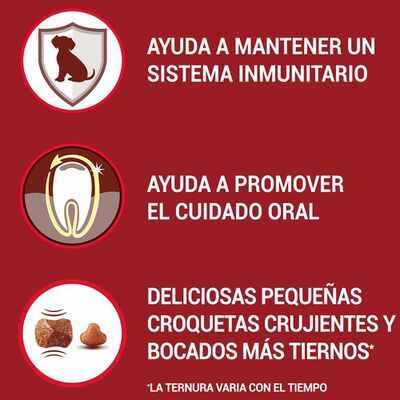 Pienso perro One adulto buey y arroz 1,5kg