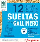Huevos de gallinas sueltas en el gallinero Alipende 12u "clase l-xl"