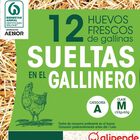 Huevos de gallinas sueltas en el gallinero Alipende 12u "clase m"