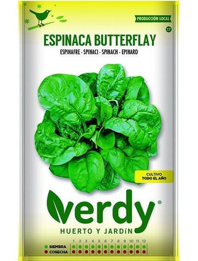 Semilla Verdy espinaca butterflay