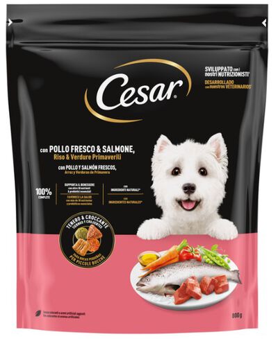 Alimento para perro con pollo y salm&oacute;n Cesar 800g