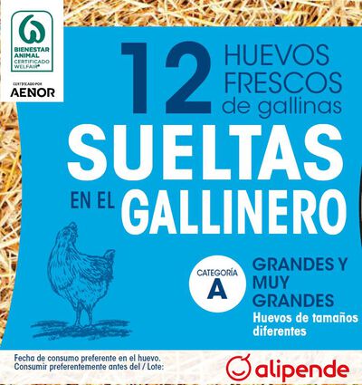 Huevos de gallinas sueltas en el gallinero Alipende 12u "clase l-xl"