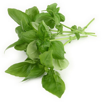 Albahaca bolsa 20g