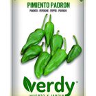 Semilla Verdy pimiento padron